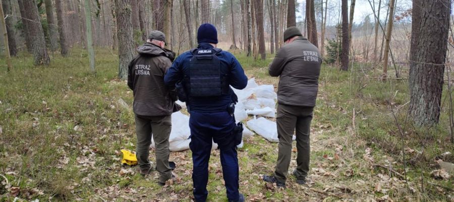 Martwe kurczaki znalezione w lesie pod Nidzicą 
