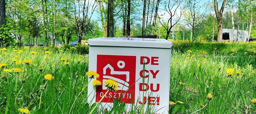 Zdjęcie jest tylko ilustracją do tekstu 
