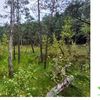 Redykajny: tutaj nie wolno wchodzić