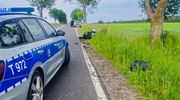 Chwila nieuwagi i zła decyzja doprowadziły do zdarzeń drogowych