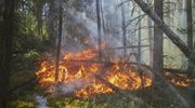 Wysokie temperatury nie sprzyjają lasom