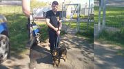 O psie, który jeździł… koleją
