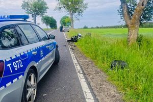 Chwila nieuwagi i zła decyzja doprowadziły do zdarzeń drogowych