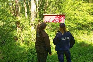 Służby mundurowe w lesie. Łączą siły dla ochrony przyrody