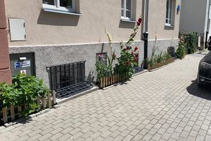 Kwiaty nielegalne? Mieszkanka Mokotowa ukarana za zazielenienie chodnika