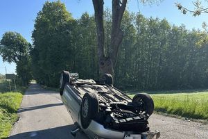 Audi dachowało na drodze wojewódzkiej