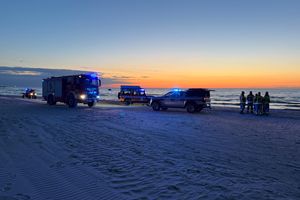 Foka zamiast tonącego? Akcja ratunkowa na plaży w Łebie zaskoczyła wszystkich