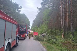 Tragiczny wypadek w gminie Stoczek Łukowski. Opel uderzył w łosia, drzewo i słup