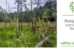 Redykajny: tutaj nie wolno wchodzić