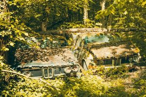 Tajemnicza działka pod Warszawą skrywa zapomniane perełki motoryzacji