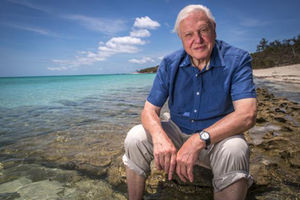 99 lat życia na planecie Ziemia