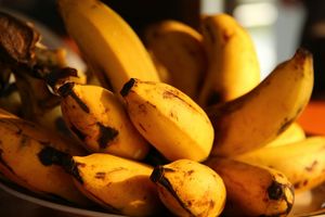 Bananowy alarm: Czy zniknie najpopularniejszy owoc świata?
