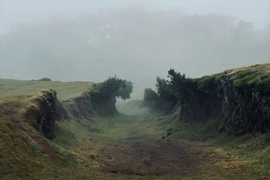 Wichrowe wzgórza pod ochroną – rezerwat w sercu krainy Brontë