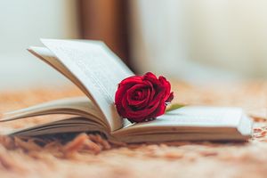  Od niedzieli pierwsze wydarzenia 10. Międzynarodowego Festiwalu Poezji Silesius