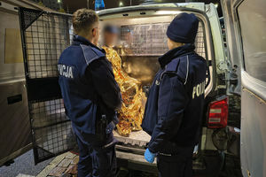 W krótkich spodenkach i boso w chłodną noc. Olsztyńscy policjanci pomogli zdezorientowanemu seniorowi 