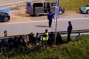 Straż Graniczna udaremniła przerzut cudzoziemców
