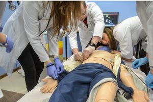 Nowy kierunek na Wydziale Medycznym Politechniki Wrocławskiej - elektroradiologia