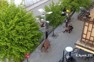 Oddał kilka strzałów w centrum miasta