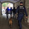 Brzeska bez narkotyków – sukces warszawskich wywiadowców