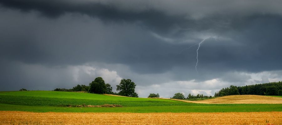 Zdjęcie jest tylko ilustracją do tekstu 