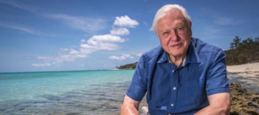 David Attenborough, w tle Wielka Rafa Koralowa