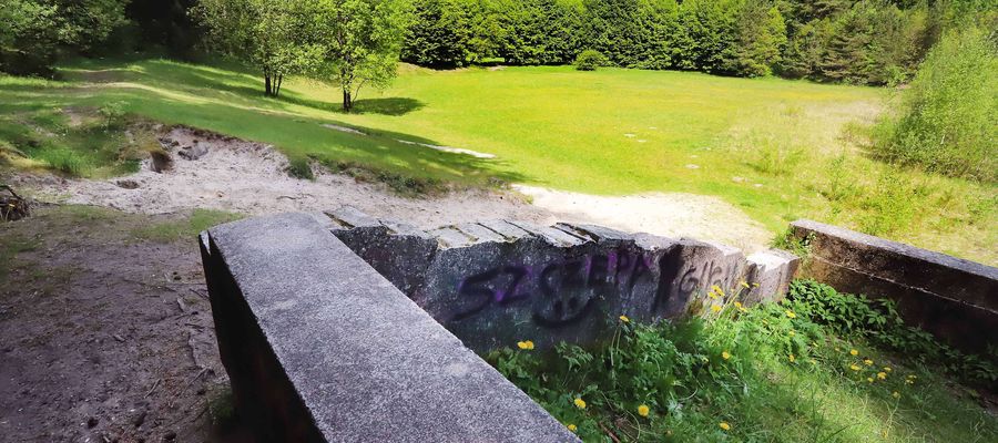 Jak przywrócić Stadion Leśny mieszkańcom? [ZDJĘCIA]