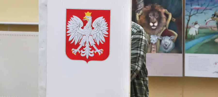 Grafika ilustracyjna 