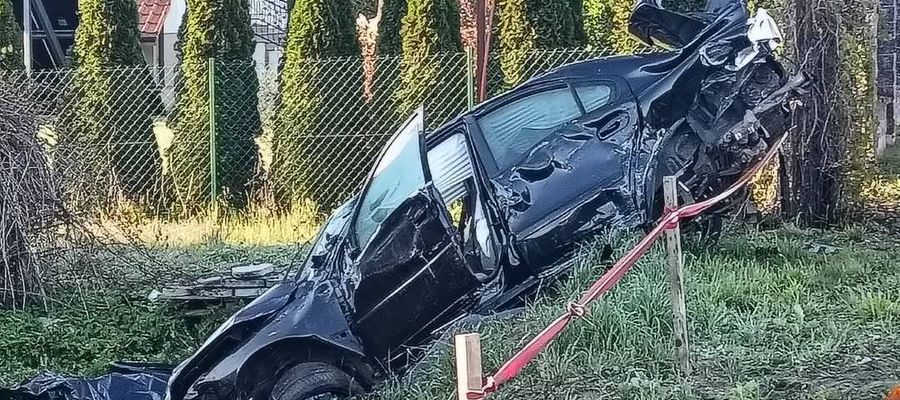 Zdjęcie jest ilustracją do tekstu