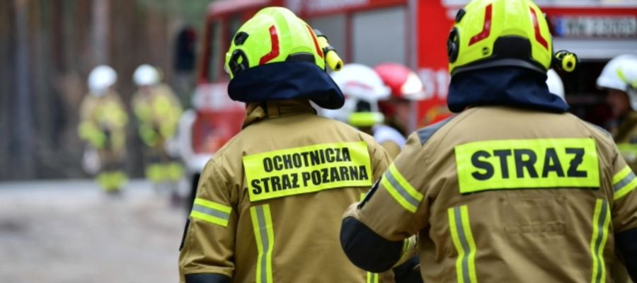 Zdjęcie jest ilustracją do tekstu