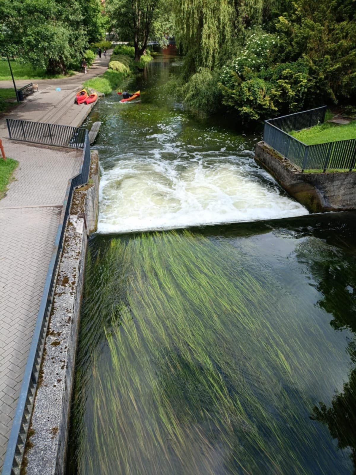 Skradzione kajaki z centrum Olsztyna 