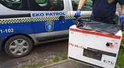 Zostawili je w kartonie na pastwę losu…