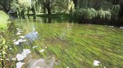 Kajakarze i wędkarze – przygotujcie się na utrudnienia na Łynie