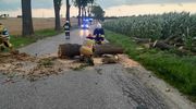Gwałtowne burze przeszły przez Polskę. Setki interwencji strażaków