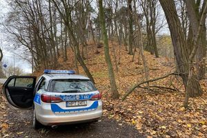Horror w parku: świadek ocalił Klaudię, 19-letni Wenezuelczyk oskarżony o próbę zabójstwa
