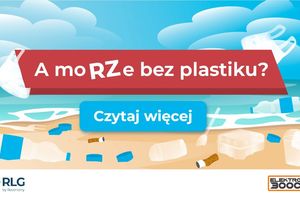 Skąd śmieci na plażach? Wyniki badań 