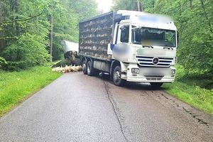 Zderzenie busa i ciężarówki na drodze nr 530 
