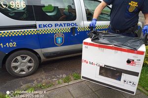 Zostawili je w kartonie na pastwę losu…Straż miejska w akcji