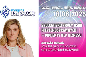 Środowisko pracy osób niepełnosprawnych – projekty dla biznesu - Agnieszka Brzostek