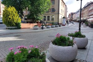 Centrum Olsztyna w letniej odsłonie. Dwie kompozycje, jeden cel: upiększyć miasto