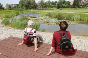 Olsztyński zakątek w pełnym rozkwicie. Lilie wodne ozdobiły park Nagórki-Jaroty [ZDJĘCIA]