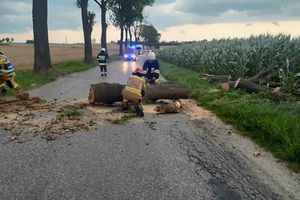 Gwałtowne burze przeszły przez Polskę. Setki interwencji strażaków