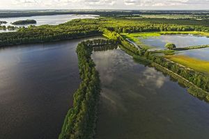 Stawy Milickie pod ochroną – nowy sojusz nauki i natury w Dolinie Baryczy