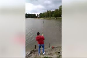 Sum-gigant złowiony na Podkarpaciu
