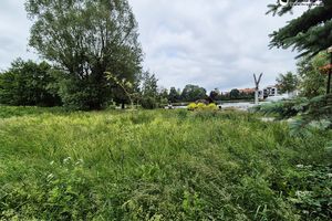 Tu nie kosimy - naturalna walka z suszą
