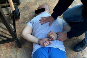 Alpaki zginęły w tajemniczych okolicznościach