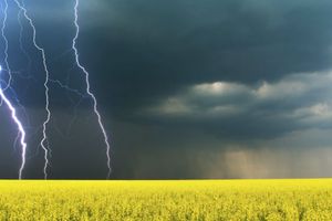 Ostrzeżenia IMGW dla 11 województw: burze, silne opady deszczu, a lokalnie grad