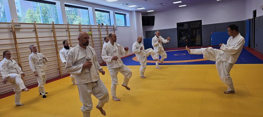 Taekkyeon - ćwiczenia kopnięć