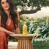Hiszpański urok i elegancja - Penélope Cruz nową twarzą marki Kinga