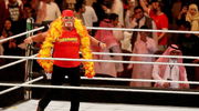 Hogan. Hulk Hogan