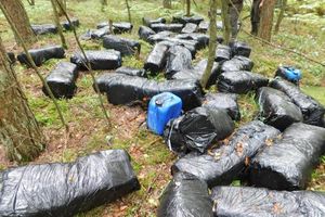 Toksyczne odpady porzucone w lesie. Interweniowały służby ratunkowe